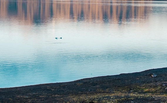 粉象生活怎么操作