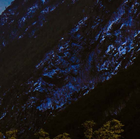 粉象生活邀请码