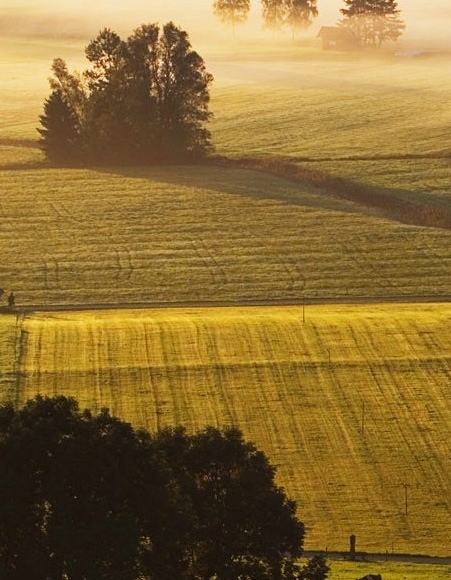 粉象生活拉不到人能赚佣金吗