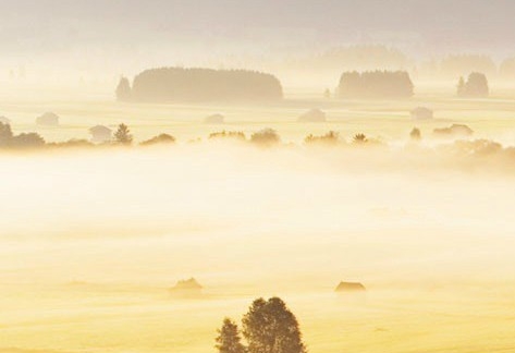 粉象生活骗局?揭密很多人被骗!说说他们的亲身经历!