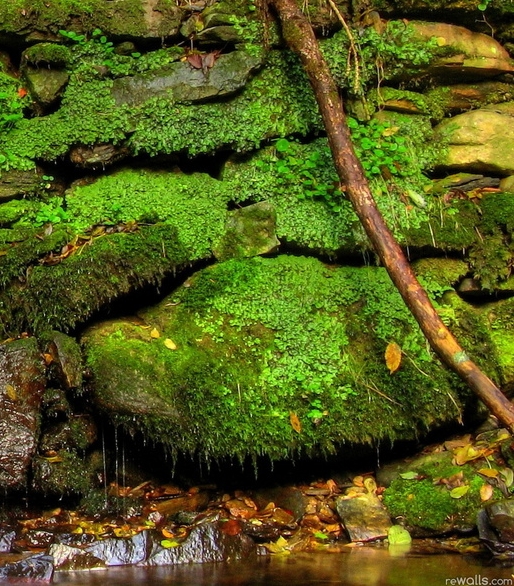粉象生活里面怎么提现