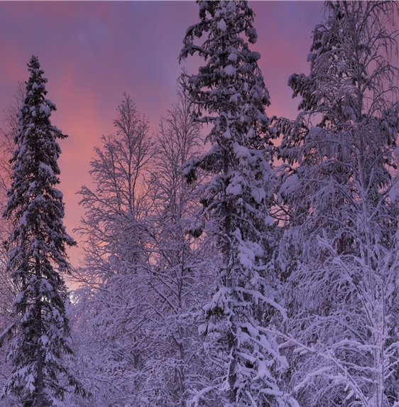 生活中如何挑选蔬菜