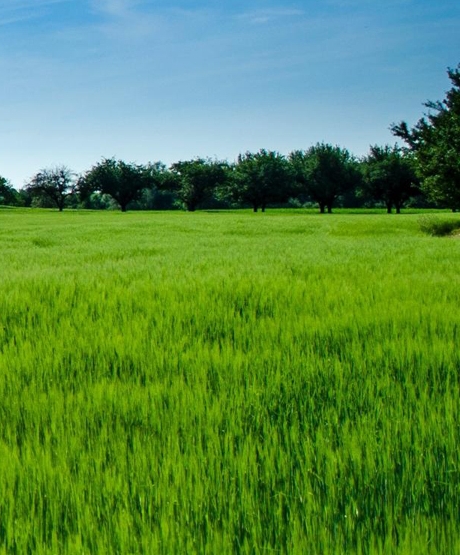 临沂华象杯子代理电话