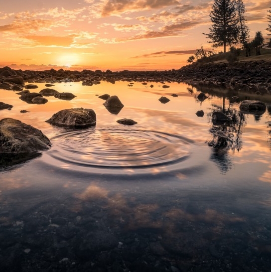 粉象生活与口碑