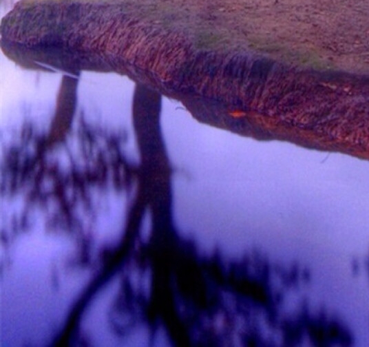 粉象生活邀请码