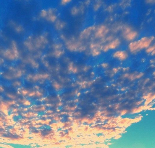 粉象生活怎么赚钱才是真的