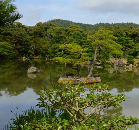 粉象生活商家版好用吗