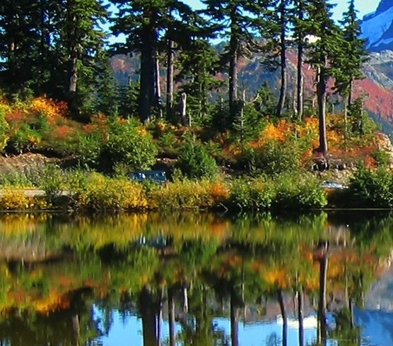 粉象生活谁控股