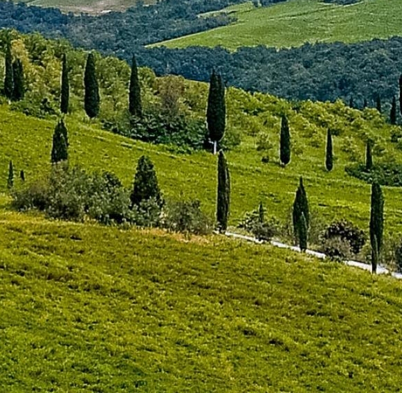 超市粉象生活赚钱方法