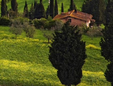 粉丝生活山东运营店