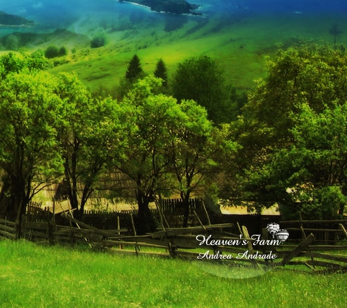 粉象生活邀请码