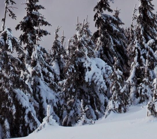 好省与粉象app哪个好用