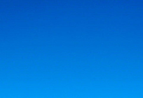 粉象生活培训课程