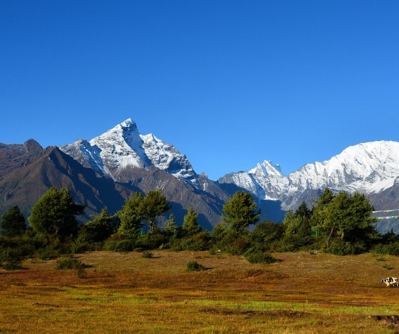 了解粉象生活app