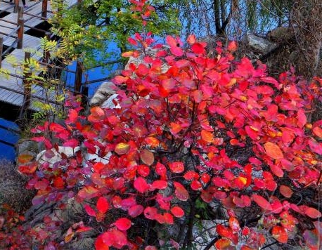 濮阳粉象生活加盟