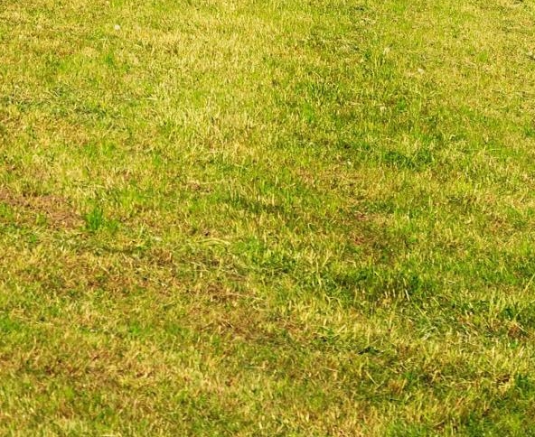 然后推广粉象生活