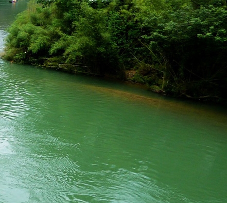 本来生活投诉上海电话