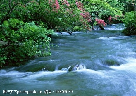 粉象生活能赚到钱吗