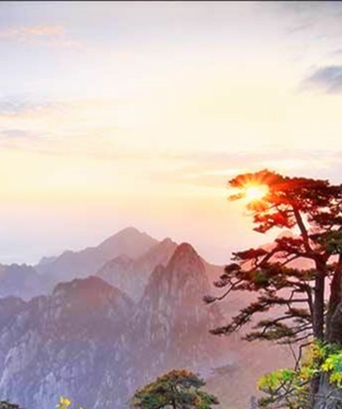 粉象生活怎么赚钱