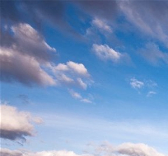 粉象生活和蜜源粉象生活