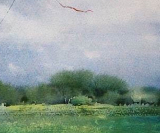 粉象生活真实收入