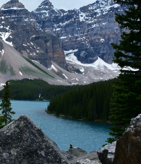 什么是粉象生活的代理