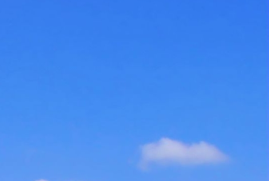 粉象生活提现金