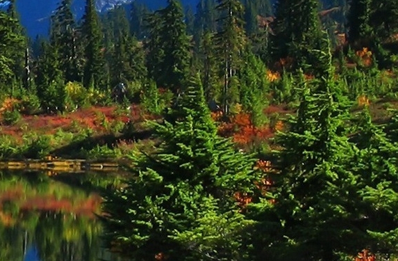 杭州粉象生活好不好