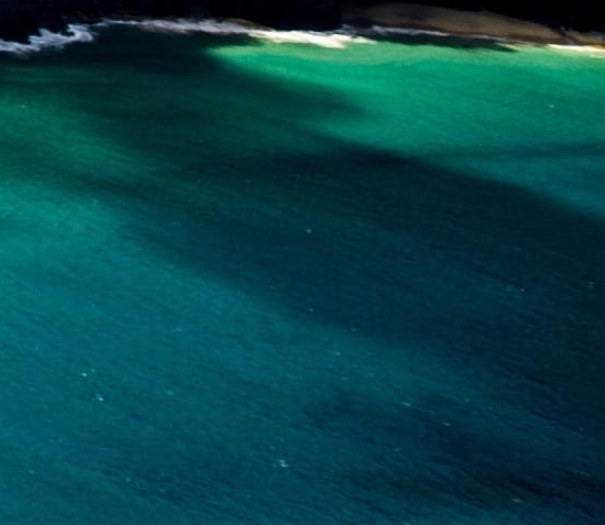 好省粉象生活花生日记蜜源