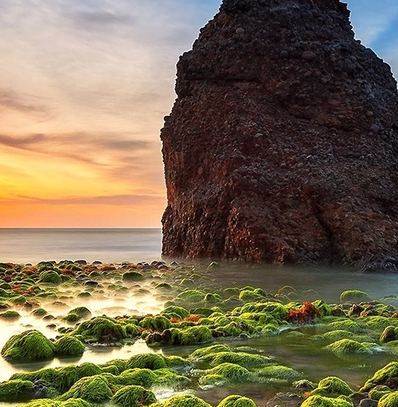 粉象生活手机怎么开店