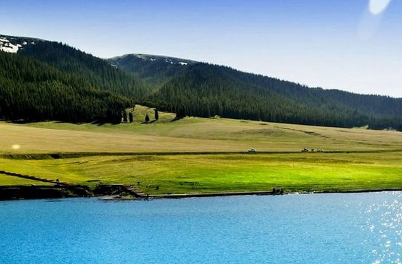 粉象生活多少人可以开店