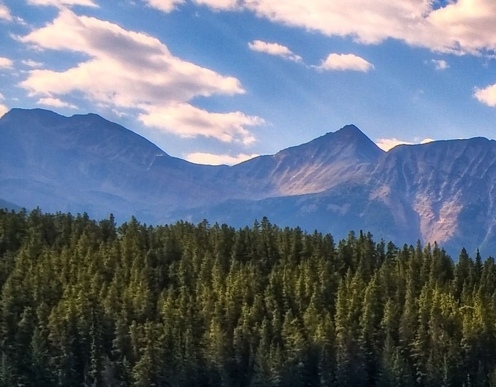 粉象生活粉丝怎么增加