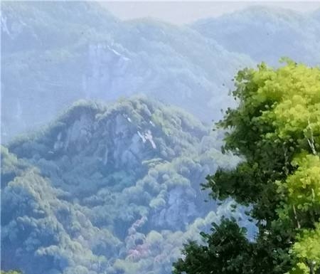 粉象生活官方邀请码大全