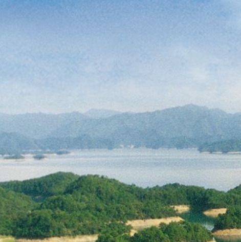 深圳粉象生活积分