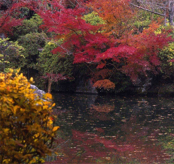粉象生活提现88要多少人
