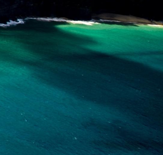 粉象生活欢迎语