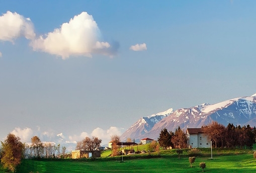 粉象生活启动社交电商