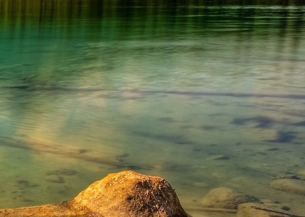 粉象生活邀请码