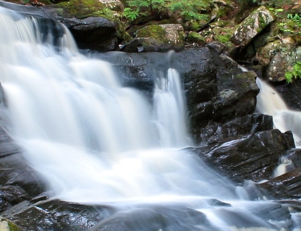 粉瑟代理靠谱吗