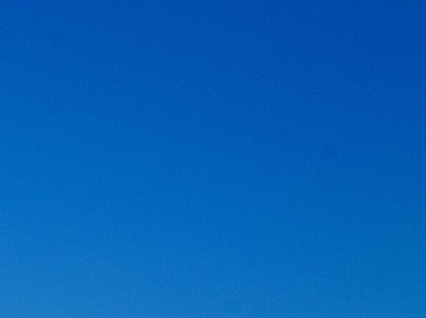 粉象生活的新用户是谁