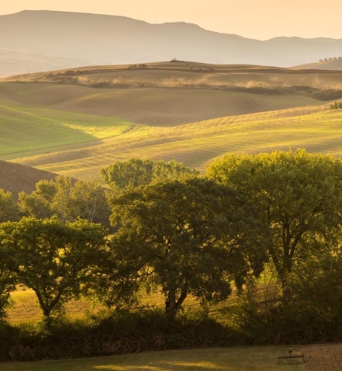 滴滴打车粉象生活