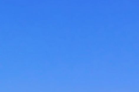 粉象生活商家分享