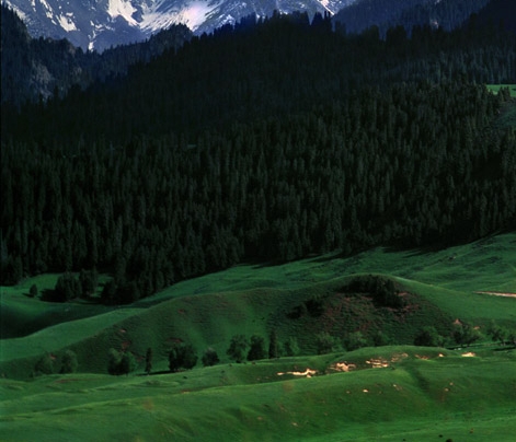 粉象生活是什么?