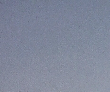 粉象生活下载app