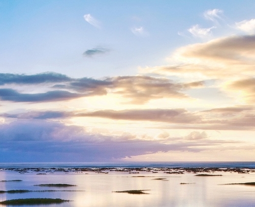 粉象生活会员有用吗