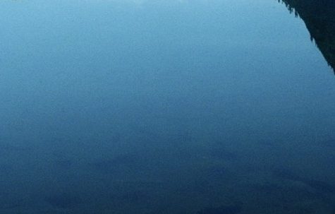 粉象生活新手怎么做