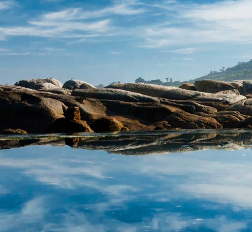 粉象生活赚钱靠谱吗