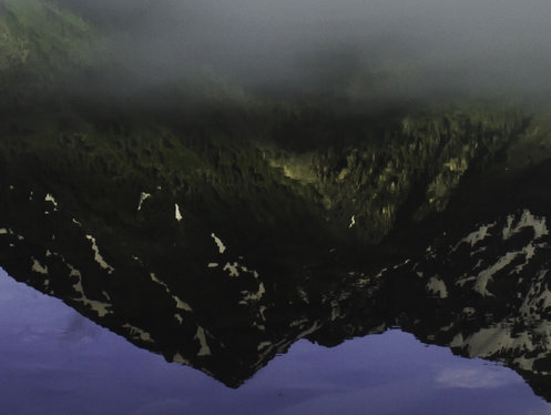 粉象生活真的可以赚钱吗