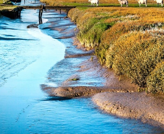 河南粉象生活代理