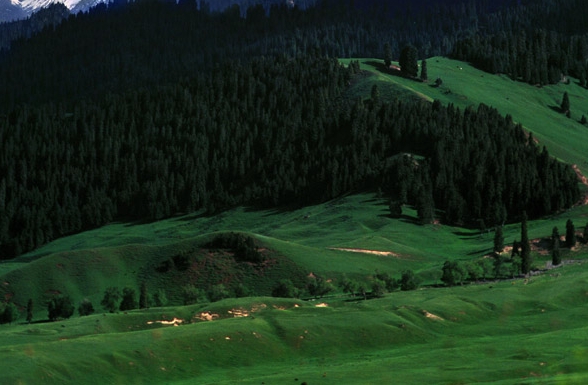 杭州粉象欢乐网络科技有限公司